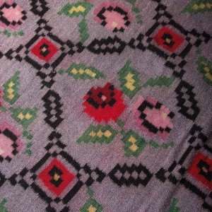 Στρώση ταϊστή